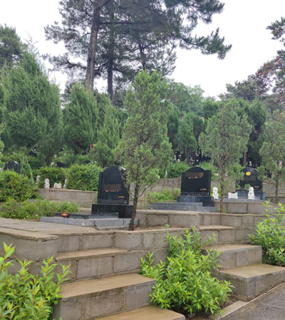大河贝墓园墓型