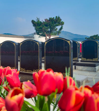 永乐青山墓园墓型