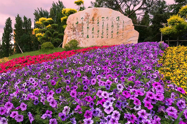 立秋时节，沈阳陶然寝园将举行中元节活动