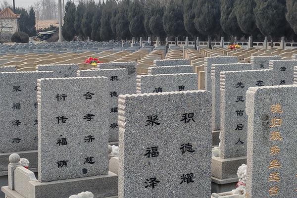 沈阳骏龙泉墓园的地理位置和历史背景