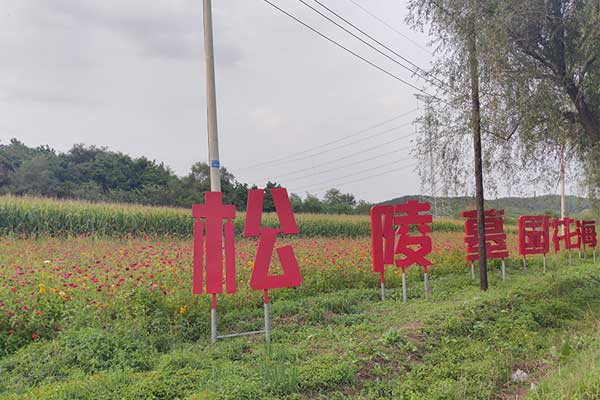 沈阳墓园，缅怀先人的宁静圣地
