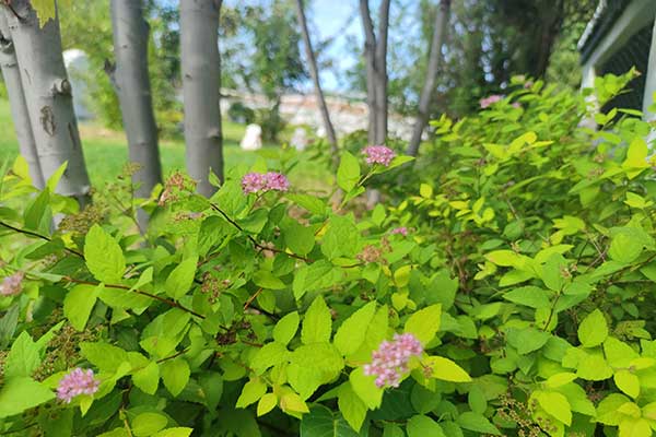 辽河畔沈阳陵园，真山真水景观，庇佑子孙后代