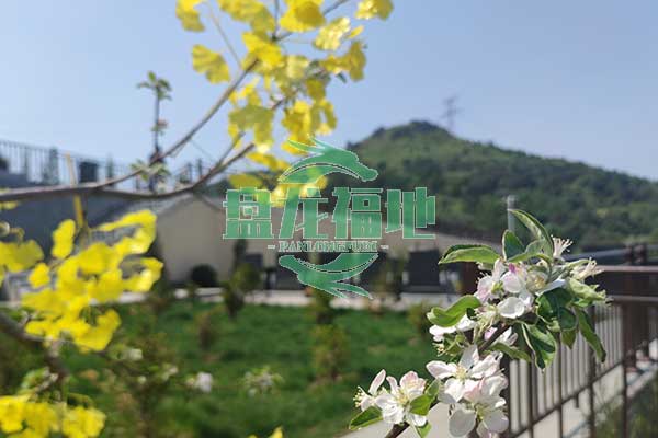 沈阳盘龙福地墓园，山水草木，共绘生命永恒画卷