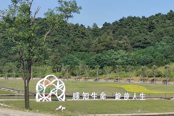 沈阳观陵山公墓绿意盎然，宁静与不朽同行