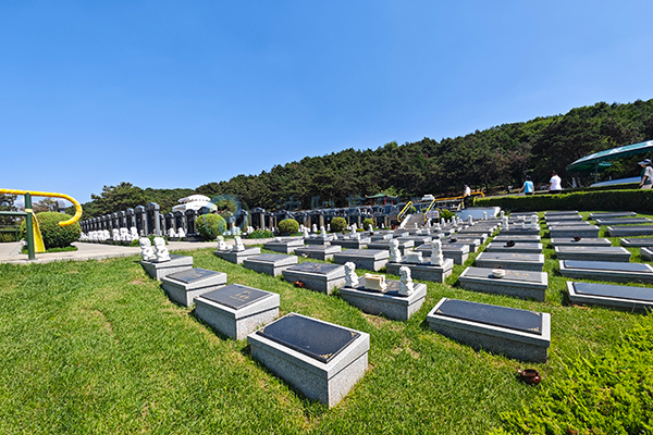 沈阳陵园墓地哪家好？周边靠山近水的高口碑墓园（附实拍九九重阳节惠民图）