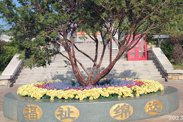 龙福山墓园