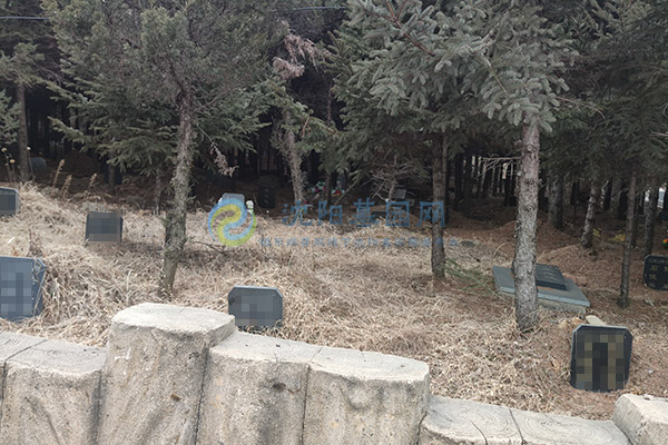 辉山纪念林