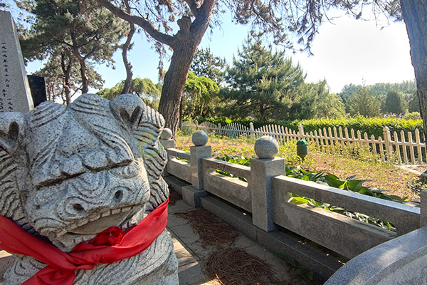 沈阳墓园2026陵园墓地价格大全:各区域墓园价格对比-+-公墓避坑指南 沈阳墓园2026陵园墓地价格大全:各区域墓园价格对比-+-公墓避坑指南