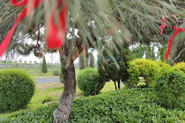 沈阳选墓园全攻略：公墓合法性、家庭预算、陵园环境、墓地手续等关键环节必知道！