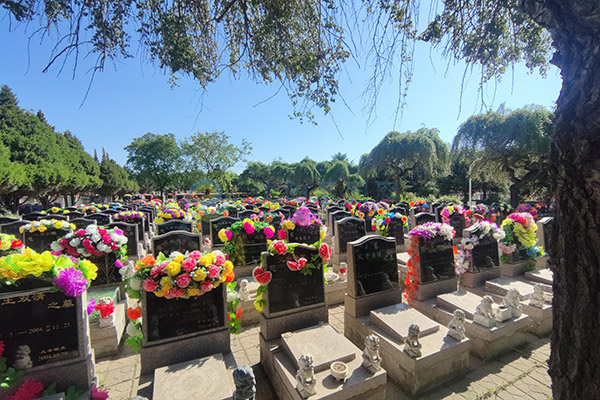 沈阳回龙岗墓园价格一览表大全2026:沈北龙脉福地惠民殡葬全攻略 沈阳回龙岗墓园价格一览表大全2026:沈北龙脉福地惠民殡葬全攻略