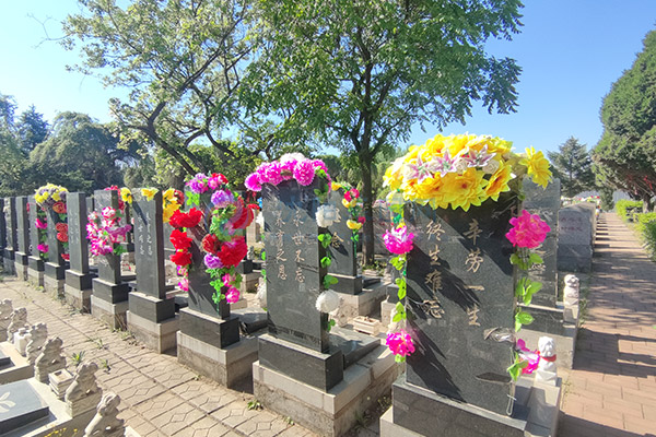 沈阳回龙岗墓园价格一览表大全2026:沈北龙脉福地惠民殡葬全攻略 沈阳回龙岗墓园价格一览表大全2026:沈北龙脉福地惠民殡葬全攻略