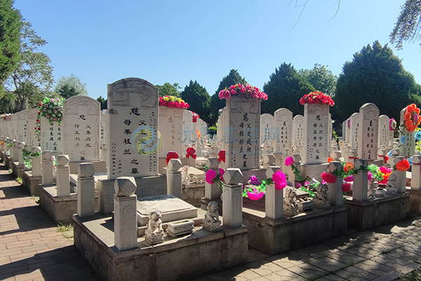 沈阳回龙岗墓园价格一览表大全2026:沈北龙脉福地惠民殡葬全攻略 沈阳回龙岗墓园价格一览表大全2026:沈北龙脉福地惠民殡葬全攻略