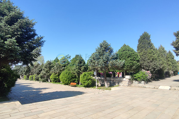 沈阳回龙岗墓园价格一览表大全2026:沈北龙脉福地惠民殡葬全攻略 沈阳回龙岗墓园价格一览表大全2026:沈北龙脉福地惠民殡葬全攻略