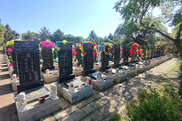 2026年沈阳墓园大全深度对比解析：陵园环境、墓地价格、公墓服务与选择指南