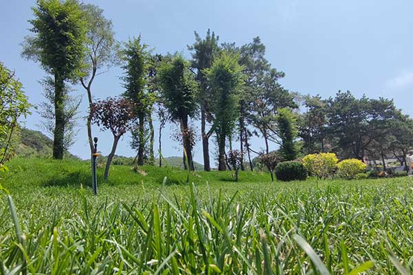 盘龙福地墓园