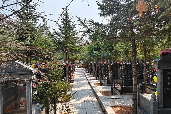 龙泉古园 龙泉古园