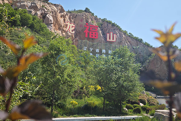 龙福山墓园 龙福山墓园